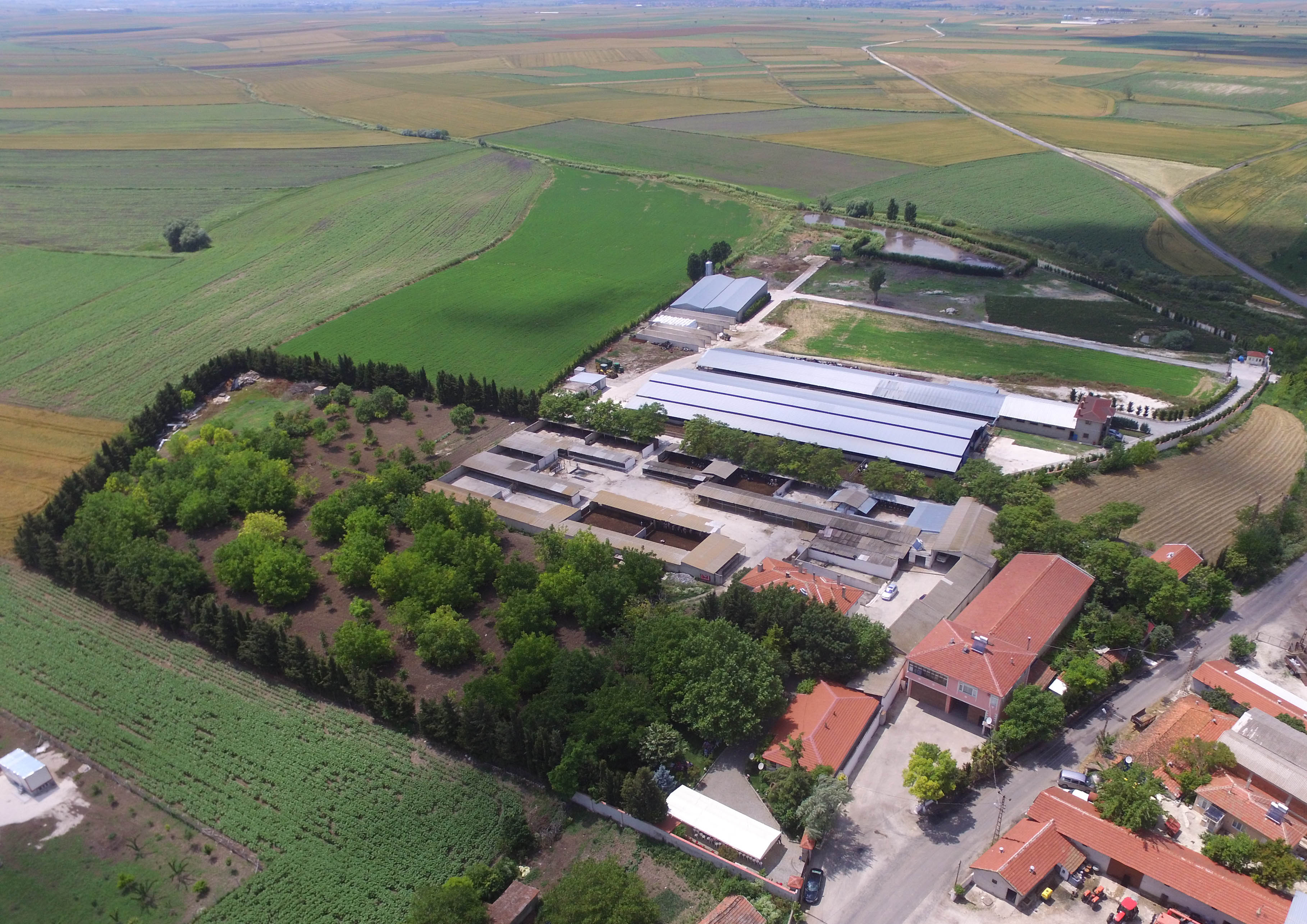 Ece Tarım Hayvancılık İşletmeleri