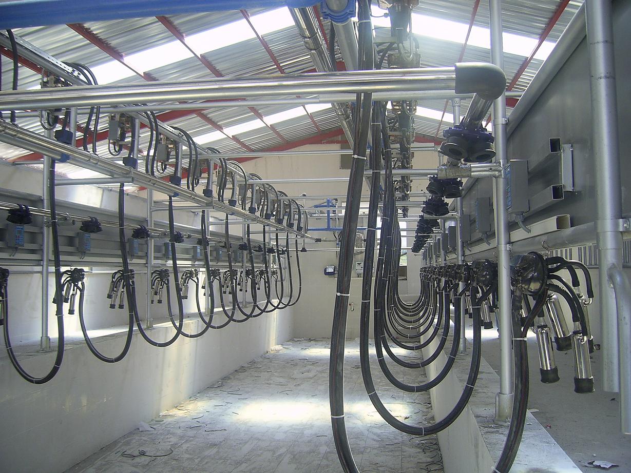 Ece Tarım Hayvancılık İşletmeleri